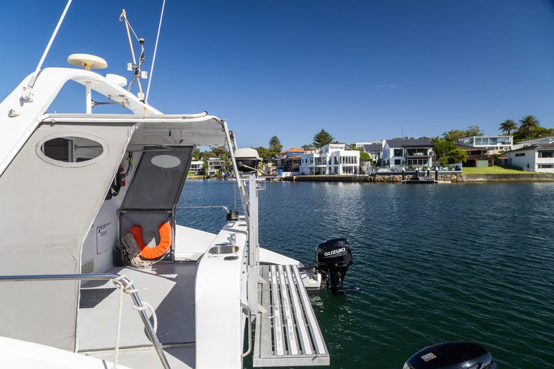 Custom Power Catt 251125-16