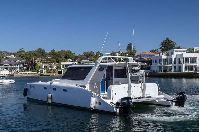 Custom Power Catt 251125-24