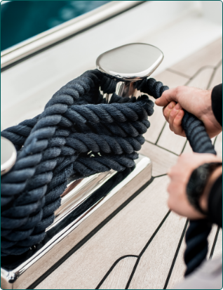 calico_marina_carousel_2